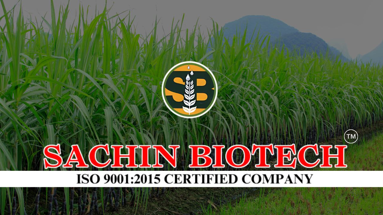 Sachin Biotech